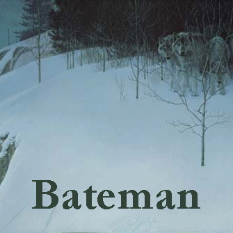 Robert Bateman